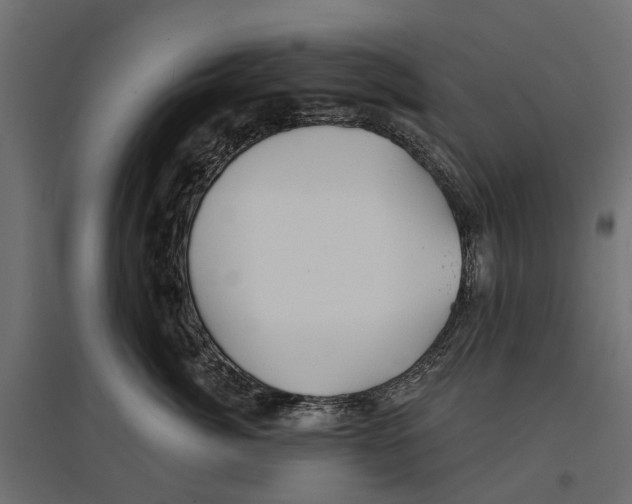 X0000096990764200803071053