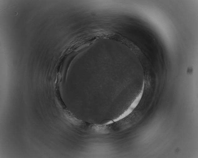 X0000096990767200803071053