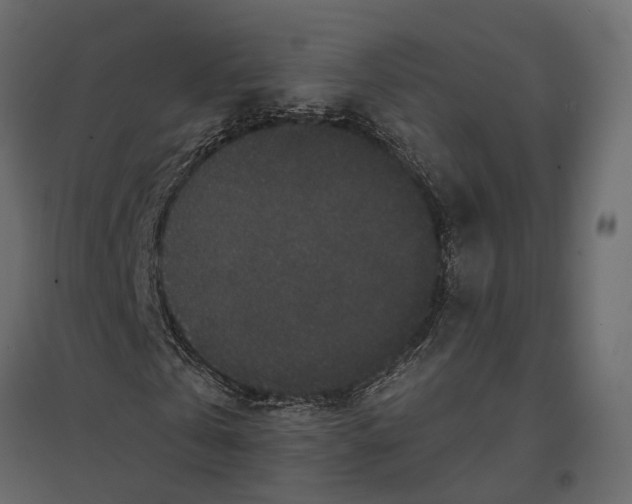 X0000096990769200803071052