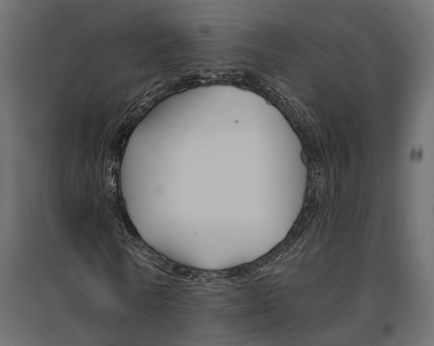 X0000096990770200803071052