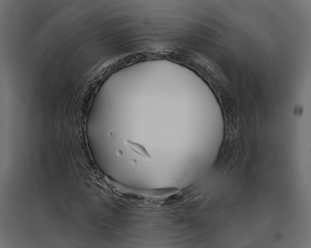 X0000096990773200803071052