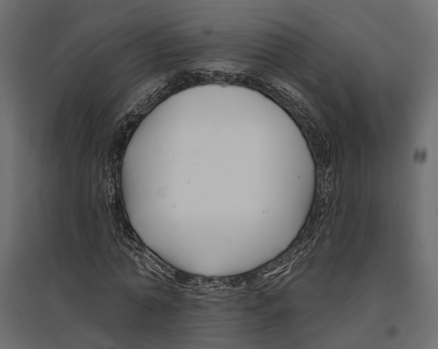 X0000096990774200803071052