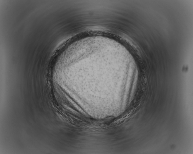 X0000096990775200803071052