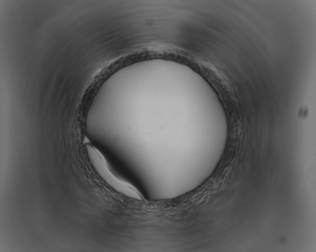 X0000096990776200803071052