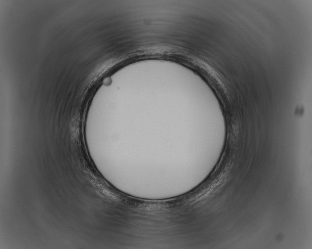 X0000096990778200803071052