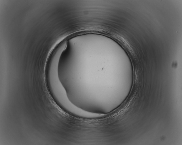 X0000096990780200803071052