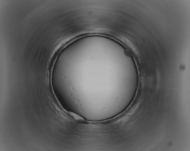 X0000096990781200803071052