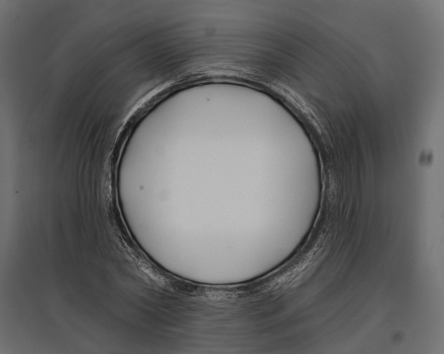 X0000096990782200803071052