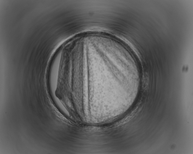 X0000096990783200803071052