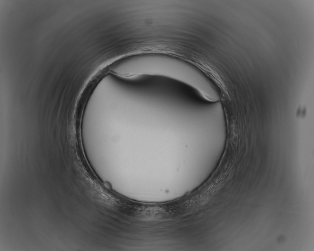 X0000096990784200803071052