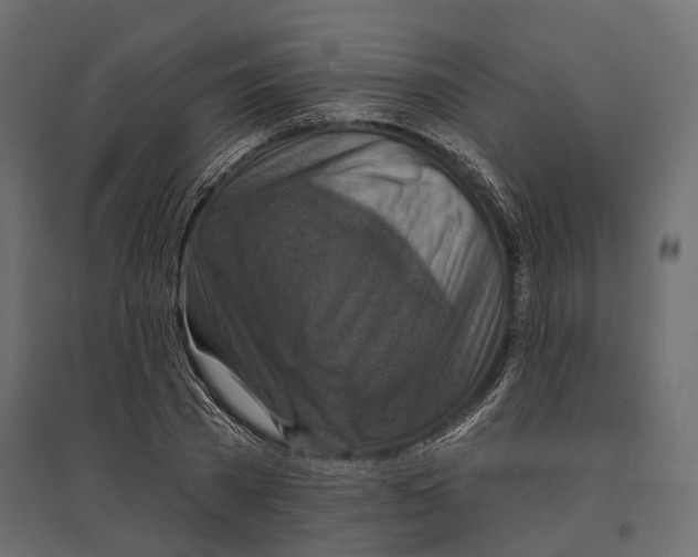 X0000096990785200803071052