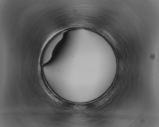 X0000096990788200803071052