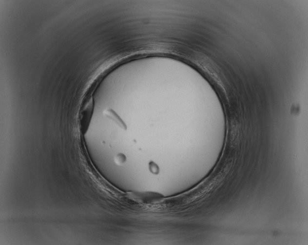 X0000096990789200803071052