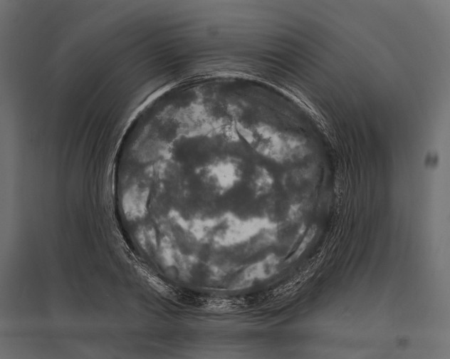 X0000096990790200803071052