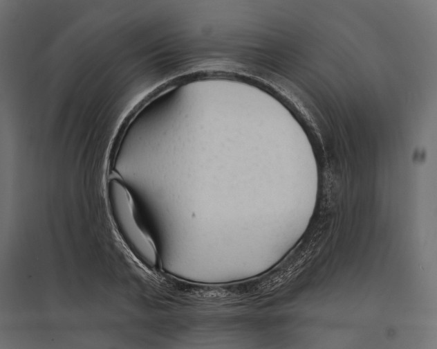 X0000096990791200803071052