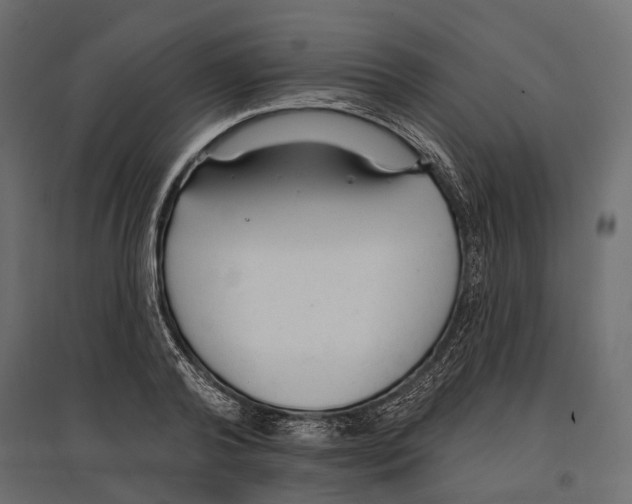 X0000096990792200803071052