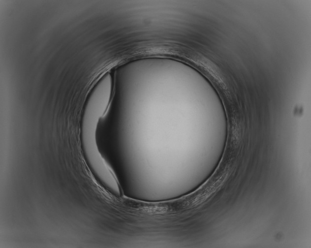 X0000096990793200803071052