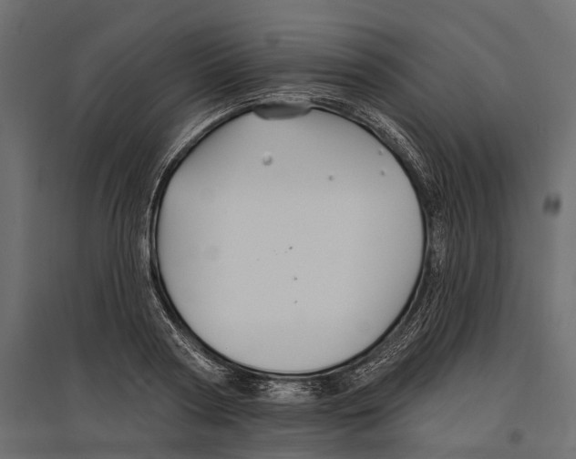 X0000096990794200803071052