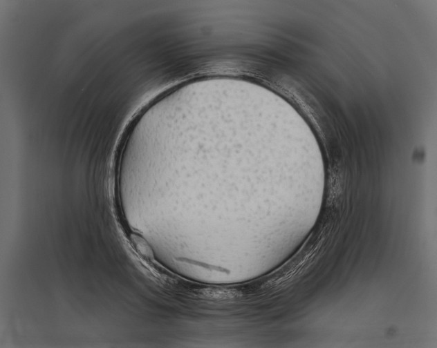 X0000096990795200803071052