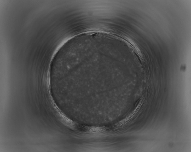 X0000096990796200803071052