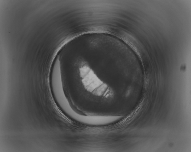 X0000096990797200803071052