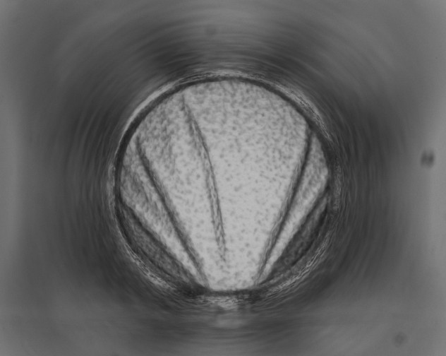 X0000096990798200803071052