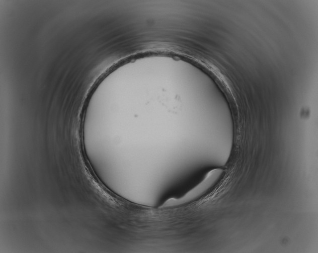 X0000096990799200803071052