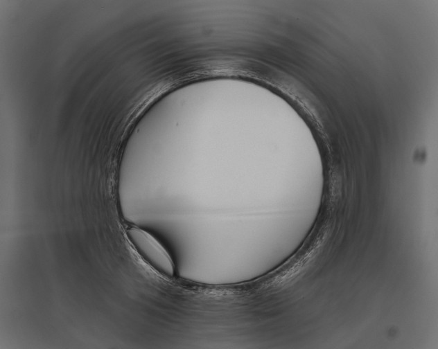 X0000096990801200803071052