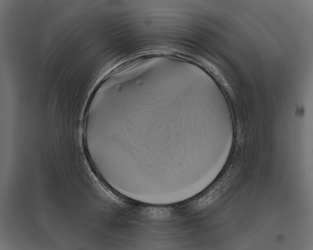 X0000096990802200803071052