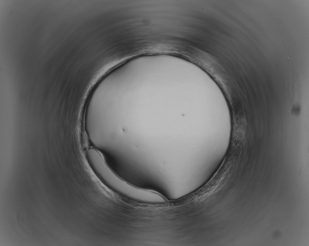 X0000096990803200803071052