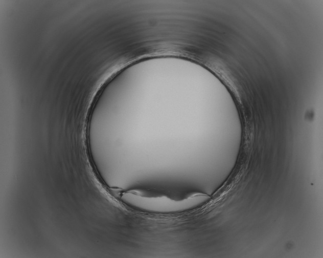 X0000096990805200803071052