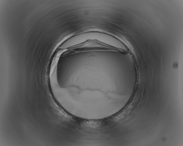 X0000096990806200803071052