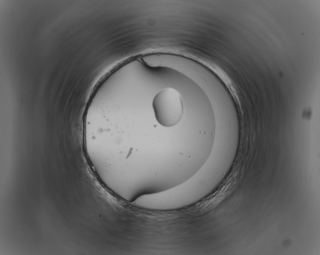 X0000096990807200803071052