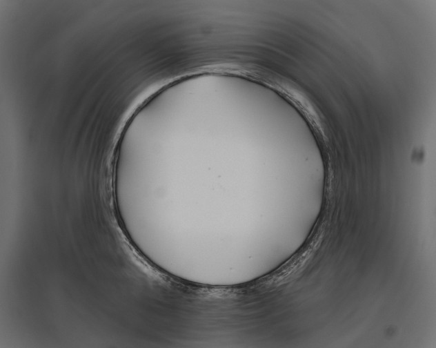 X0000096990808200803071052