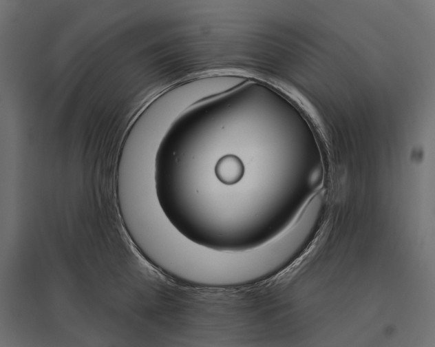 X0000096990809200803071052