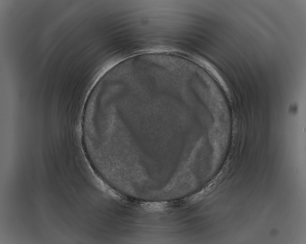 X0000096990810200803071052