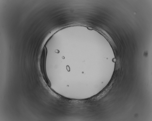 X0000096990812200803071052