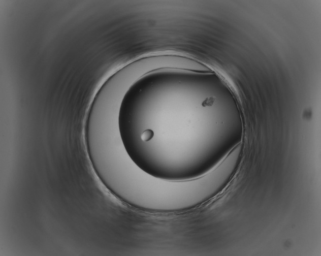 X0000096990813200803071052