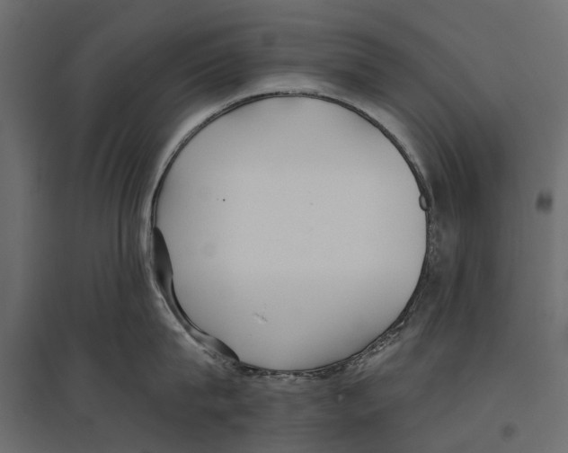 X0000096990815200803071052