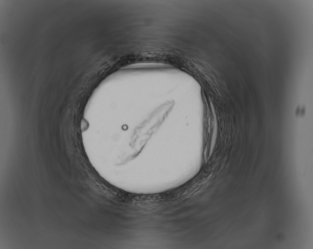 X0000096990817200803071051