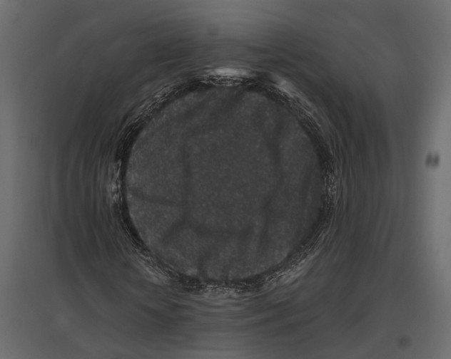 X0000096990818200803071051