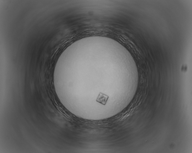 X0000096990820200803071051