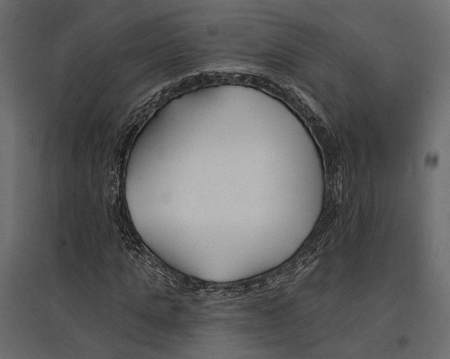 X0000096990821200803071051