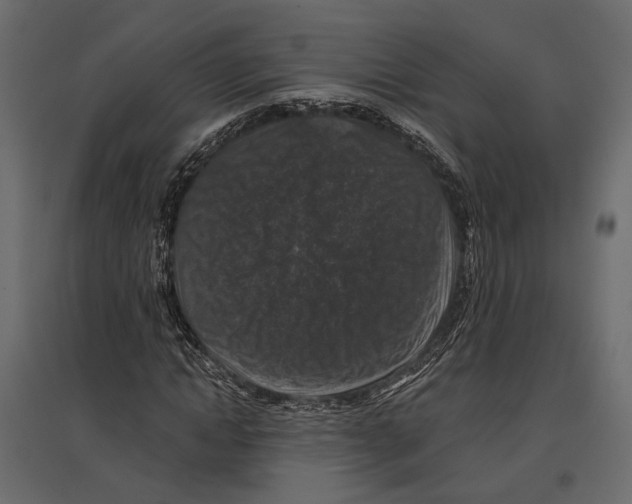 X0000096990822200803071051