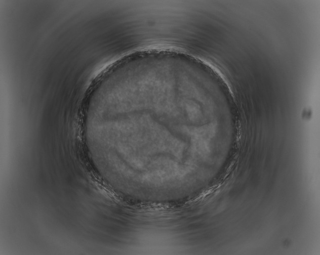 X0000096990823200803071051