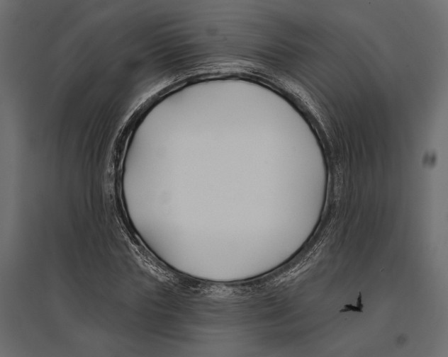 X0000096990827200803071051