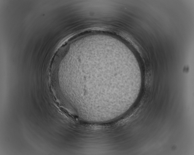 X0000096990829200803071051