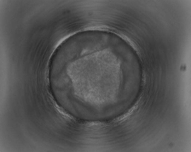 X0000096990830200803071051