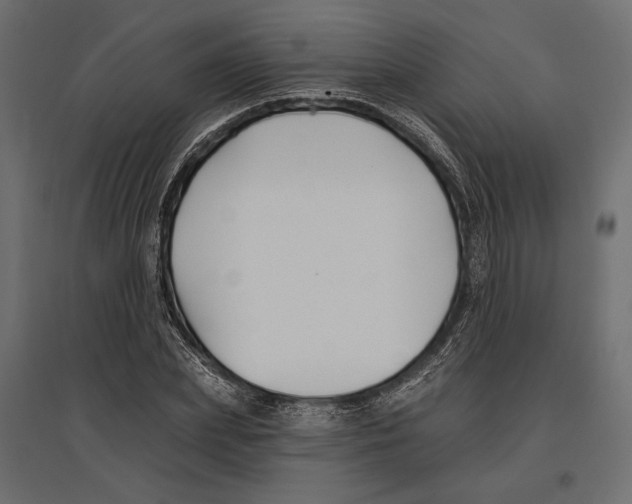 X0000096990831200803071051