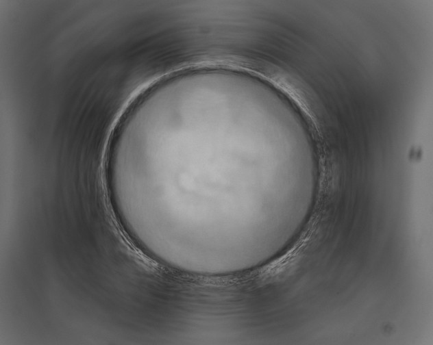 X0000096990832200803071051